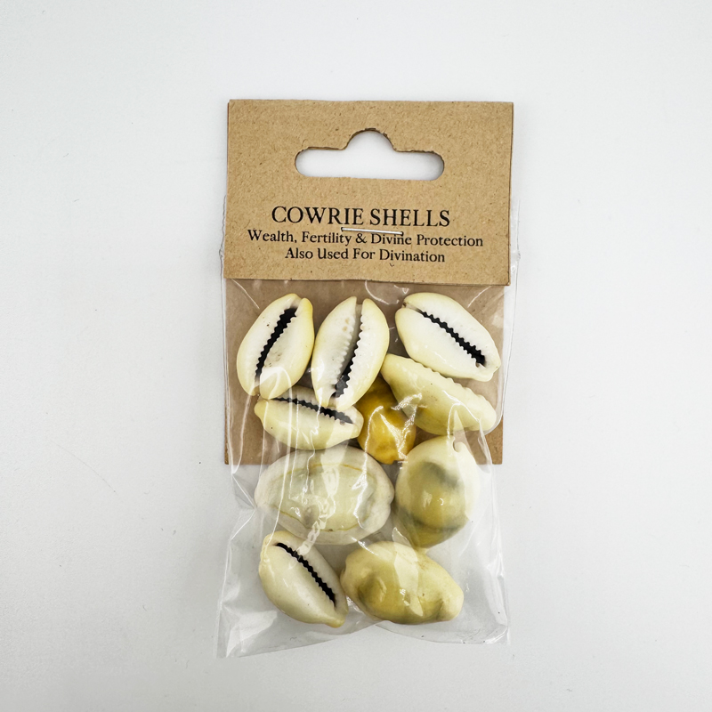 Cowrie Shells - Pack of 10