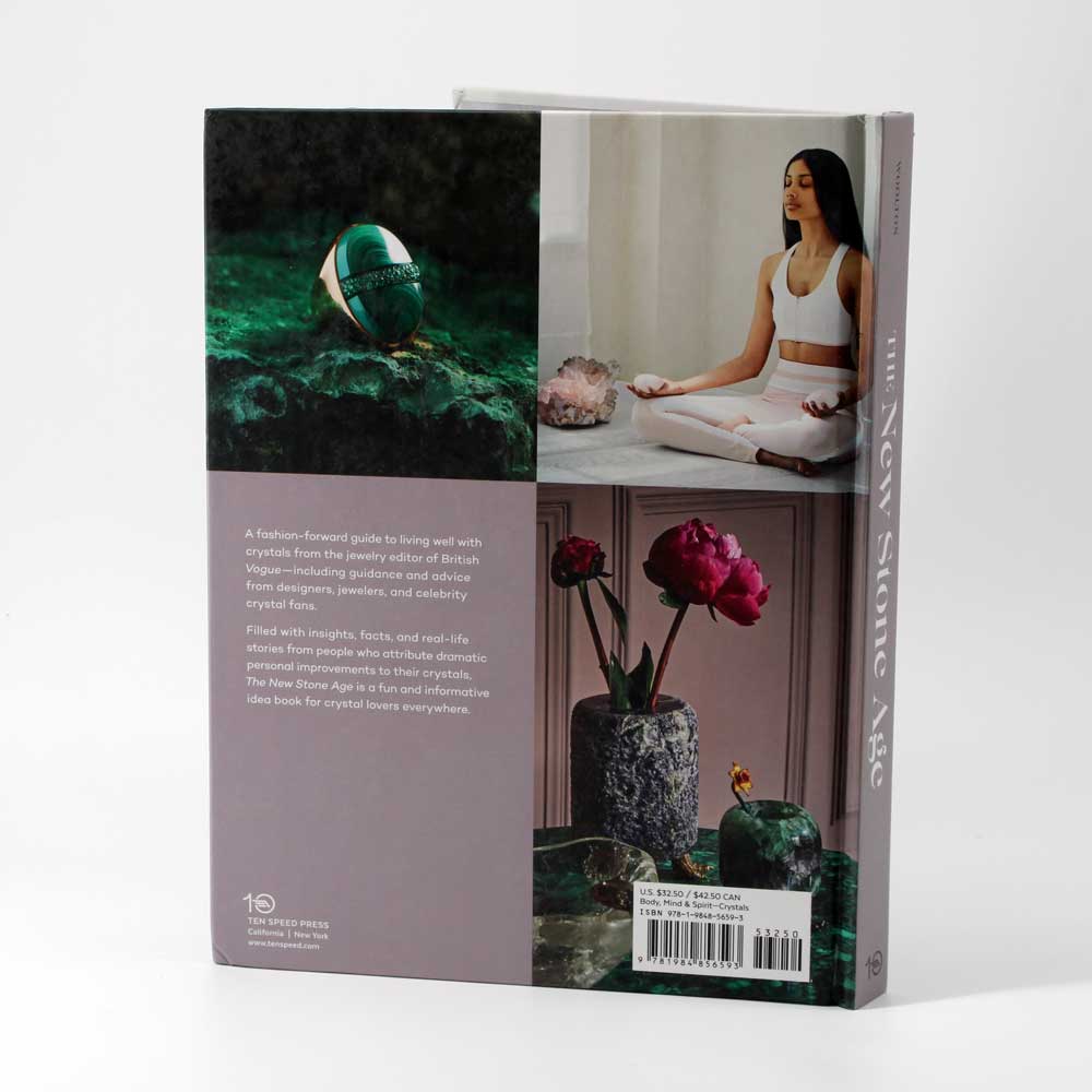 The New Stone Age Book