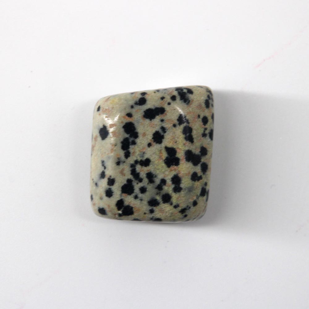 Dalmatian Jasper