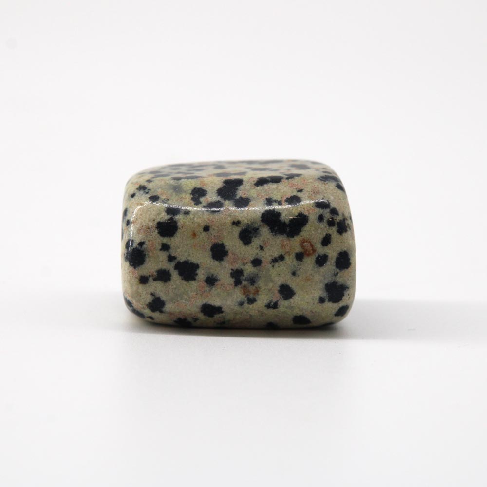 Dalmatian Jasper