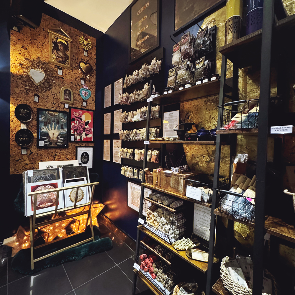 Creative Curiosity & Cacao