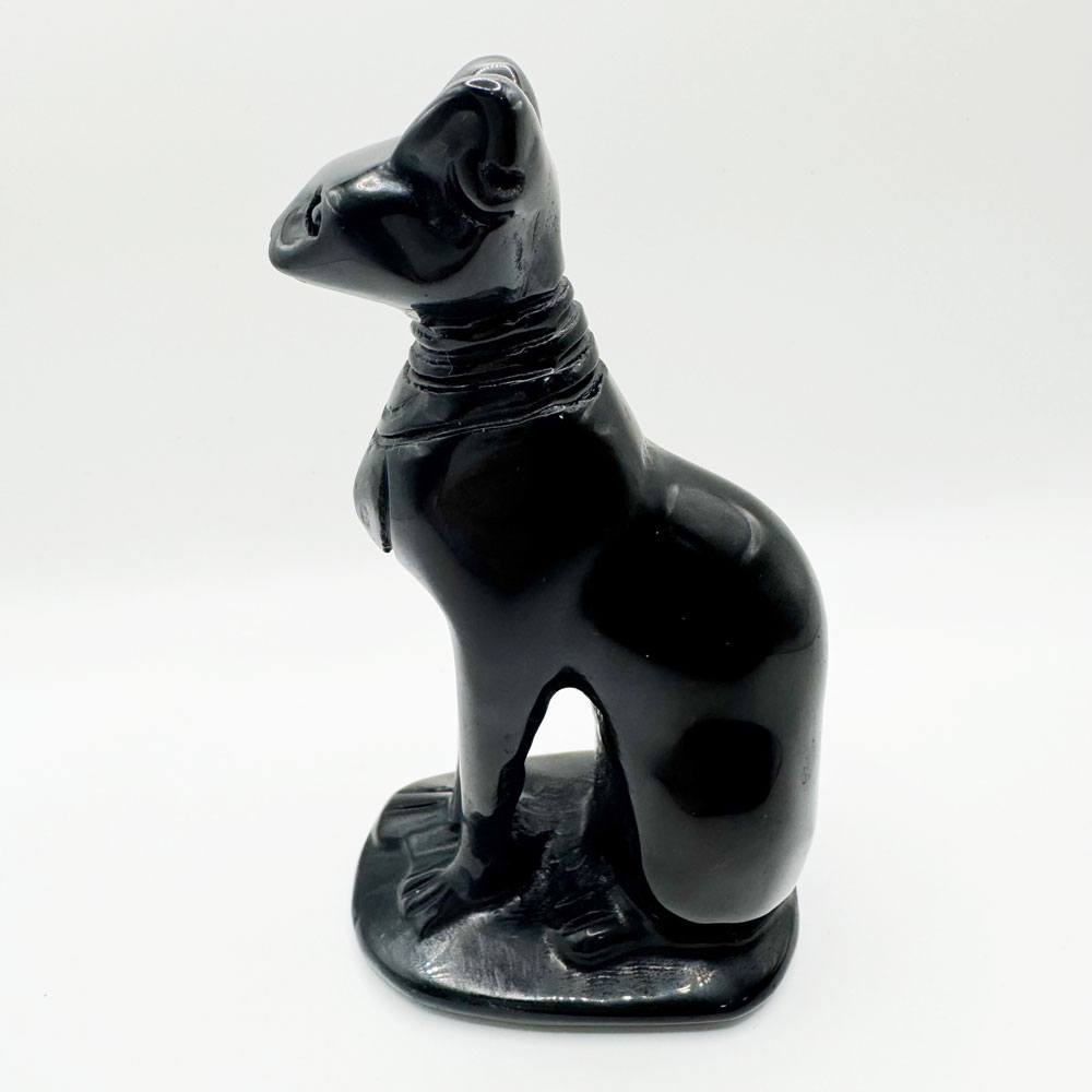 Black Obsidian Sphynx Cat