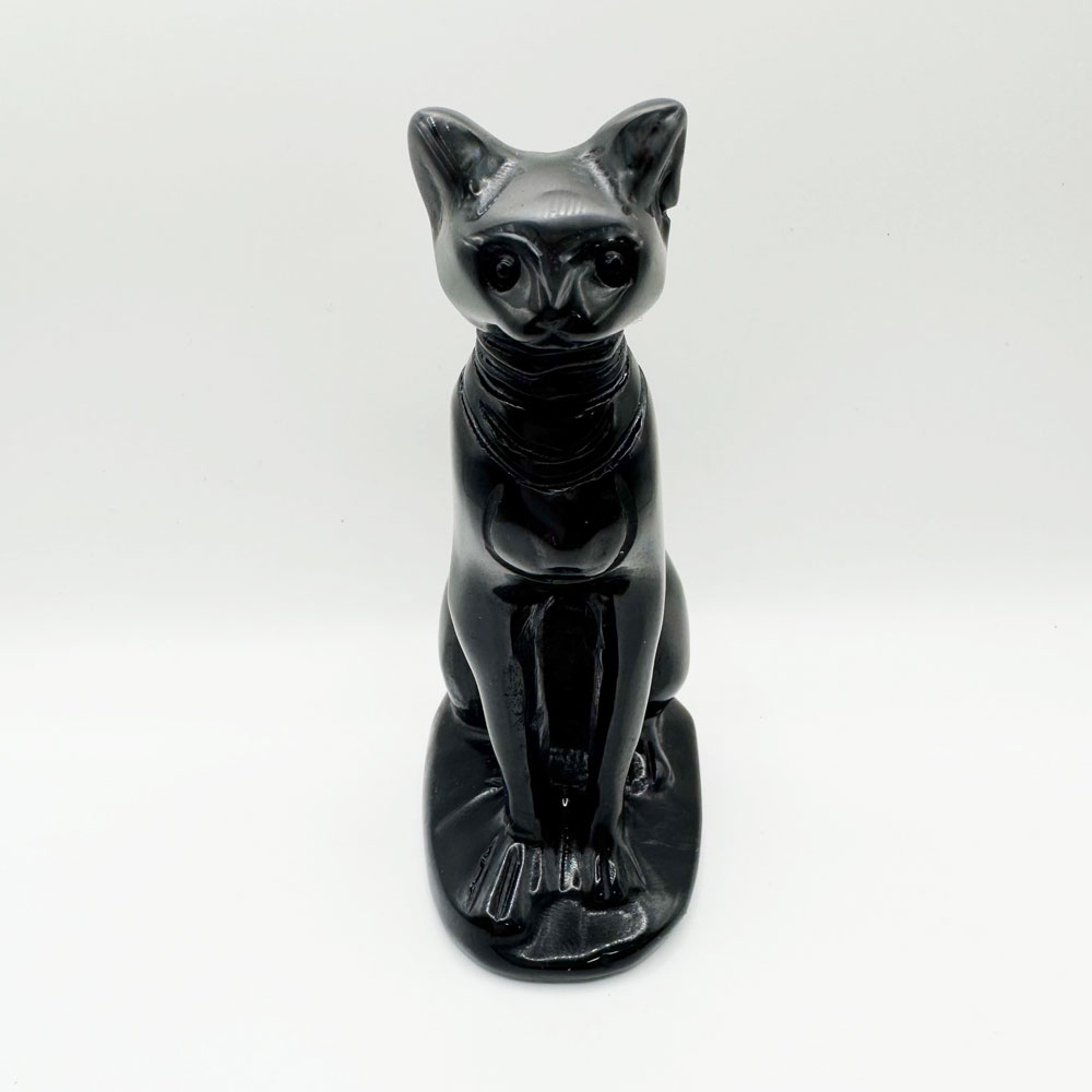 Black Obsidian Sphynx Cat