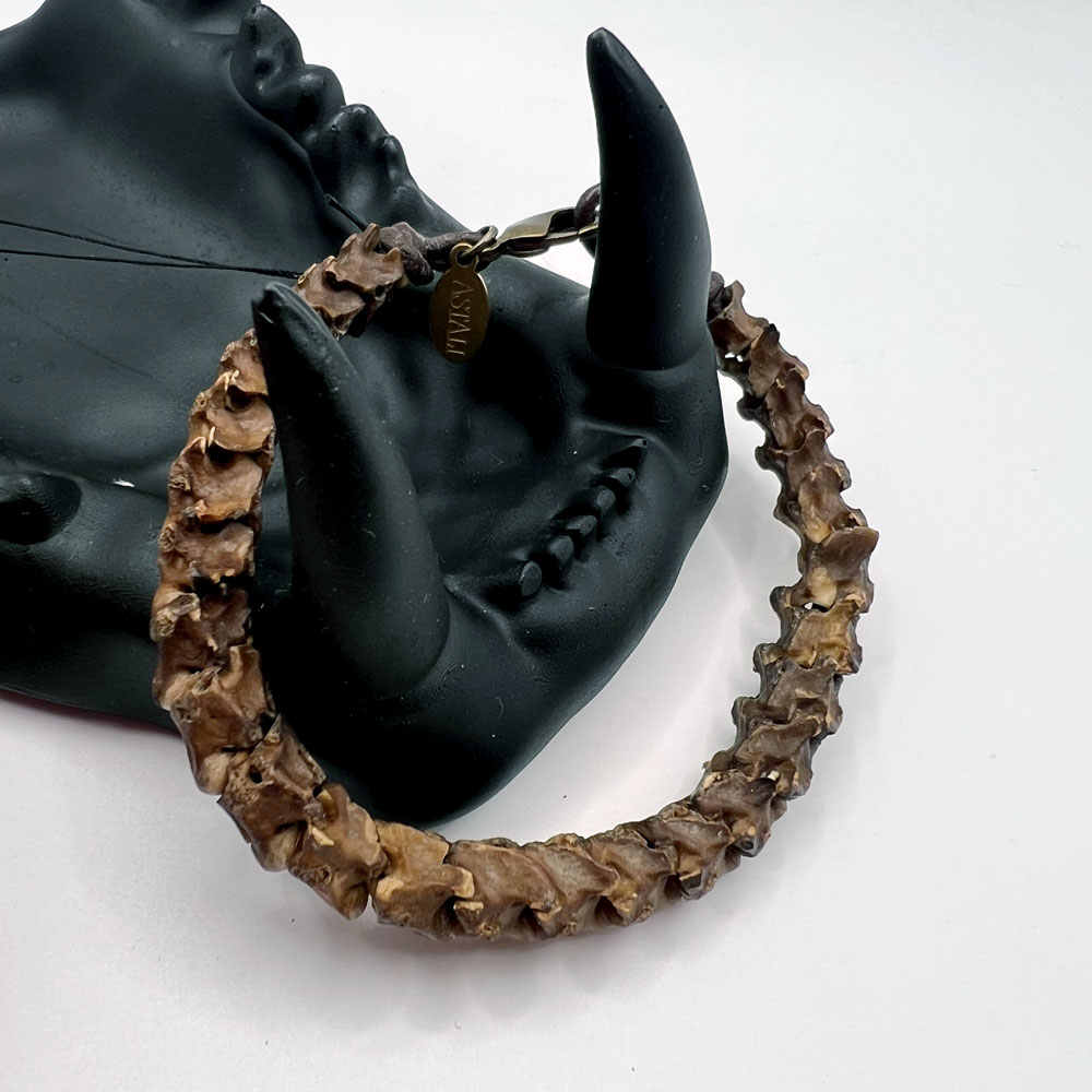 African Snake Vertebrae Bracelet