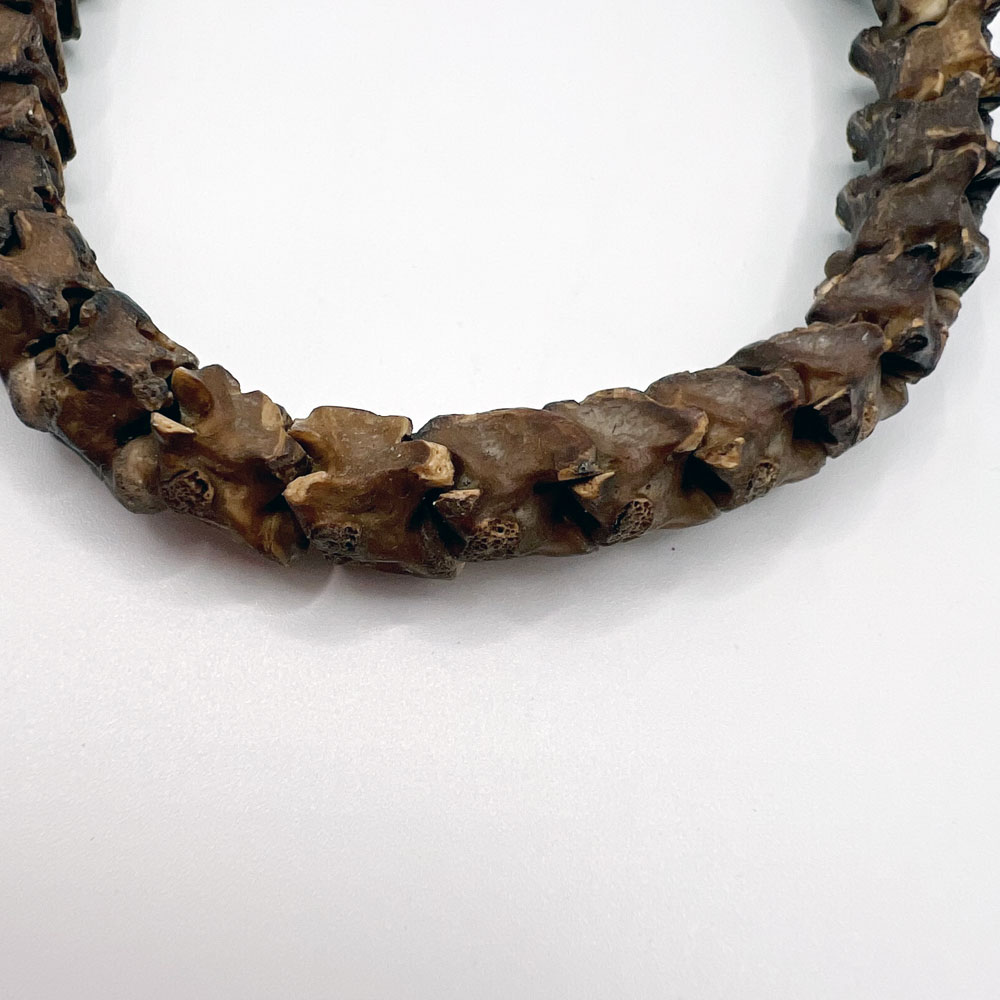 African Snake Vertebrae Bracelet