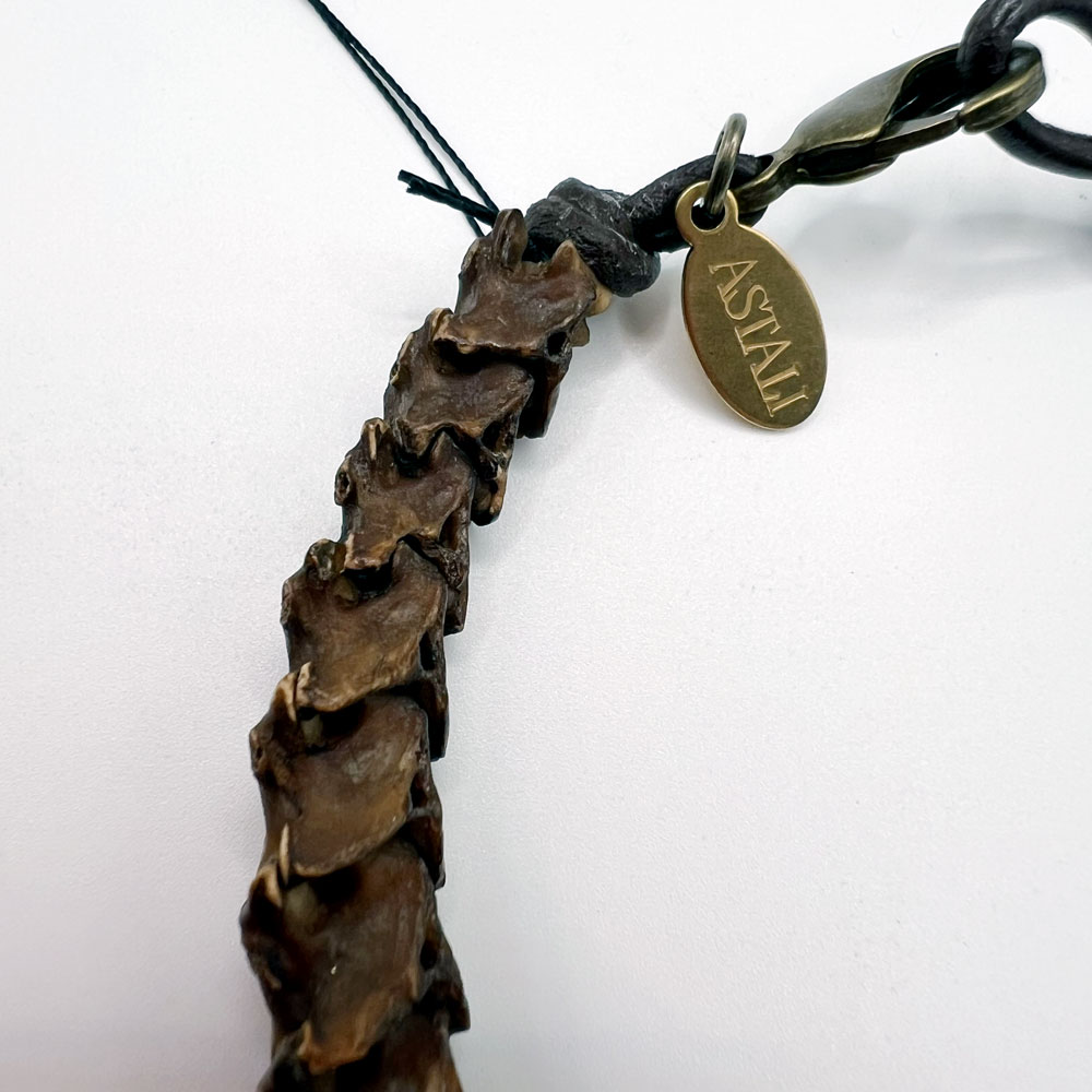 African Snake Vertebrae Bracelet