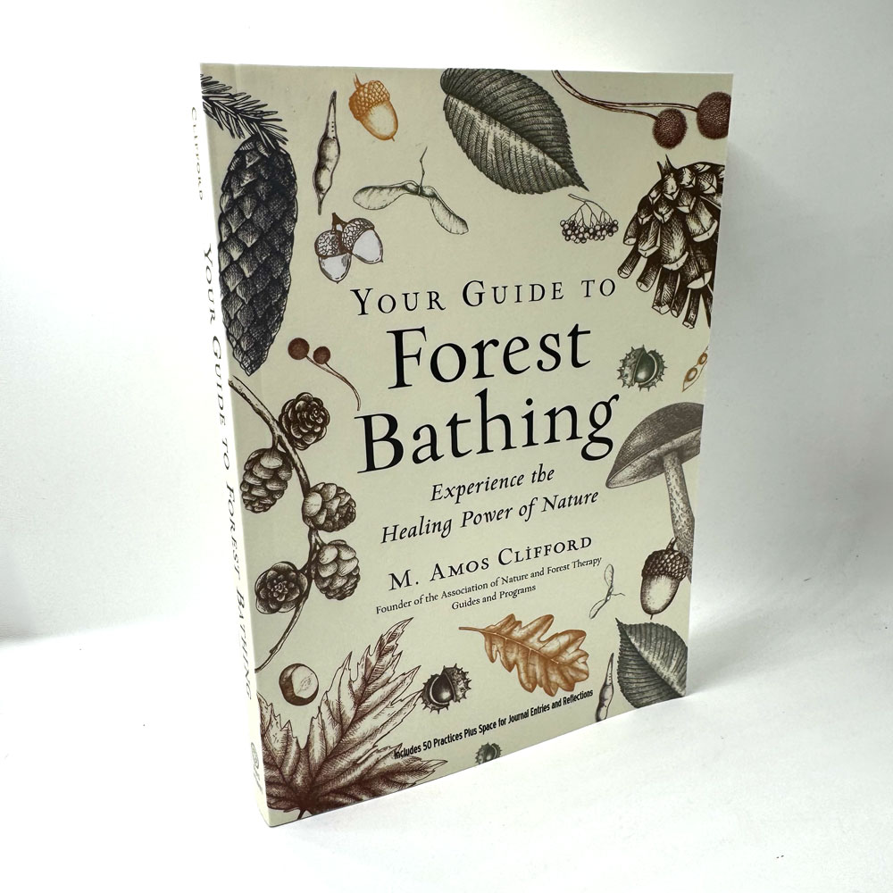Forest Bathing