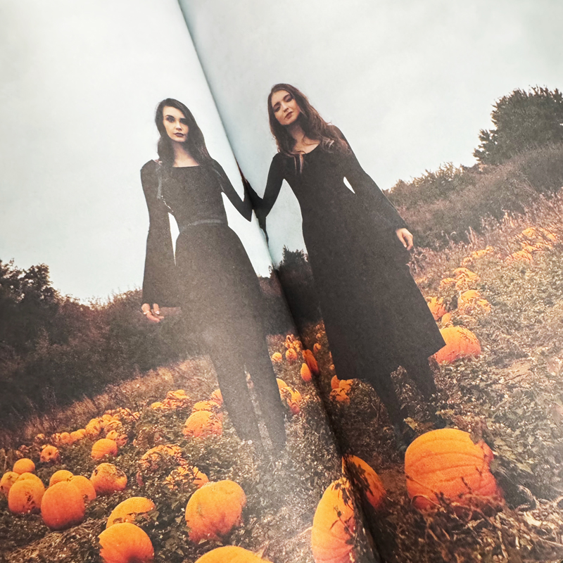 The Witch’s Altar Book: The Definitive Guide to Modern Witchcraft