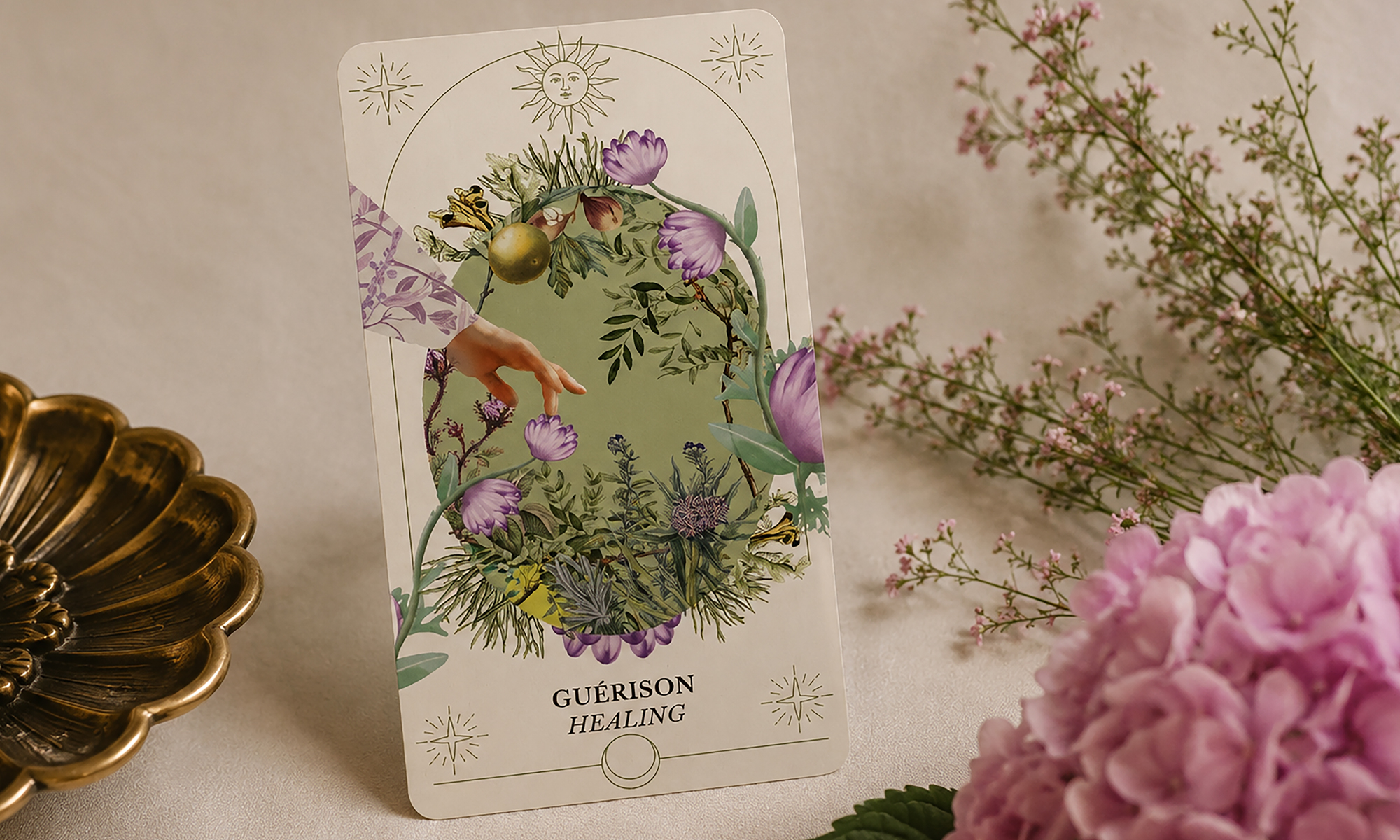 From Transformation to Guidance